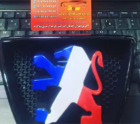 پخش  آرم جلو پنجره پژو