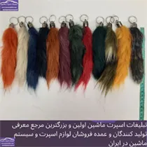 پخش دم رنگی
