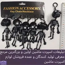پخش  اسکلت ساده
