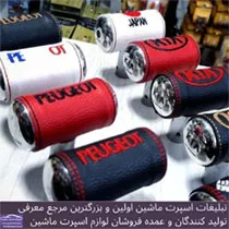 پخش سردنده خلبانی