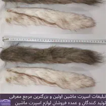 پخش  دم بلند