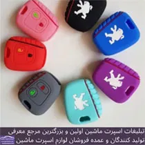 پخش کاور ریموت