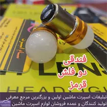پخش  فندقی فلش زن