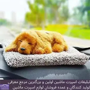 پخش سگ روی داشبورد