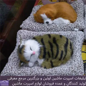 پخش  گربه رو داشبوردی