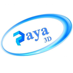 paya 3d{اصفهان}